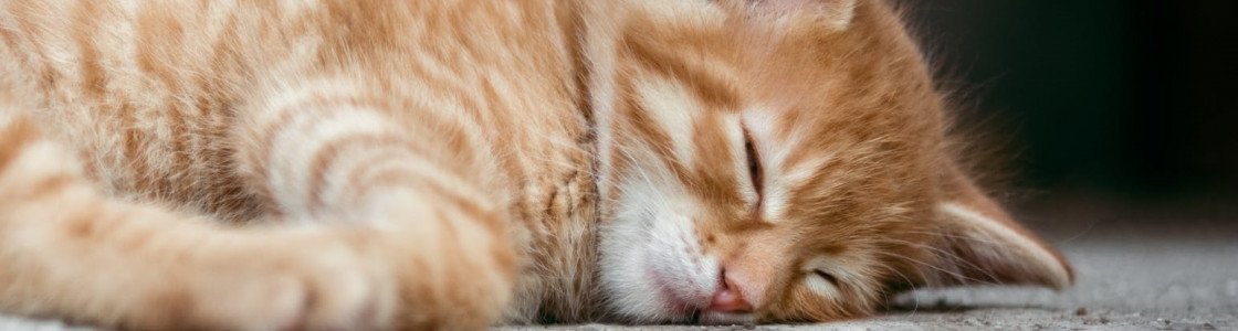 Comment avoir un sommeil plus réparateur ?