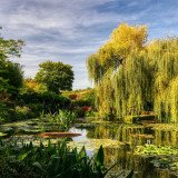 Giverny