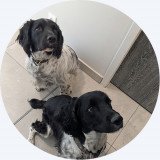 Stan & qui est Oddy