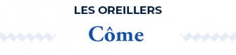 Les oreillers moelleux anti-static | Côme