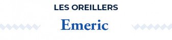 Lot d'oreillers moelleux en coton biologique | Emeric