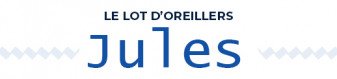Oreiller moelleux Jules