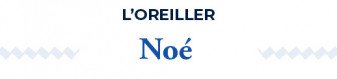 Oreiller été/hiver Moelleux | Noé