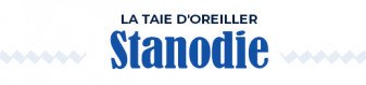 Taie d'oreiller | Bleu nuit