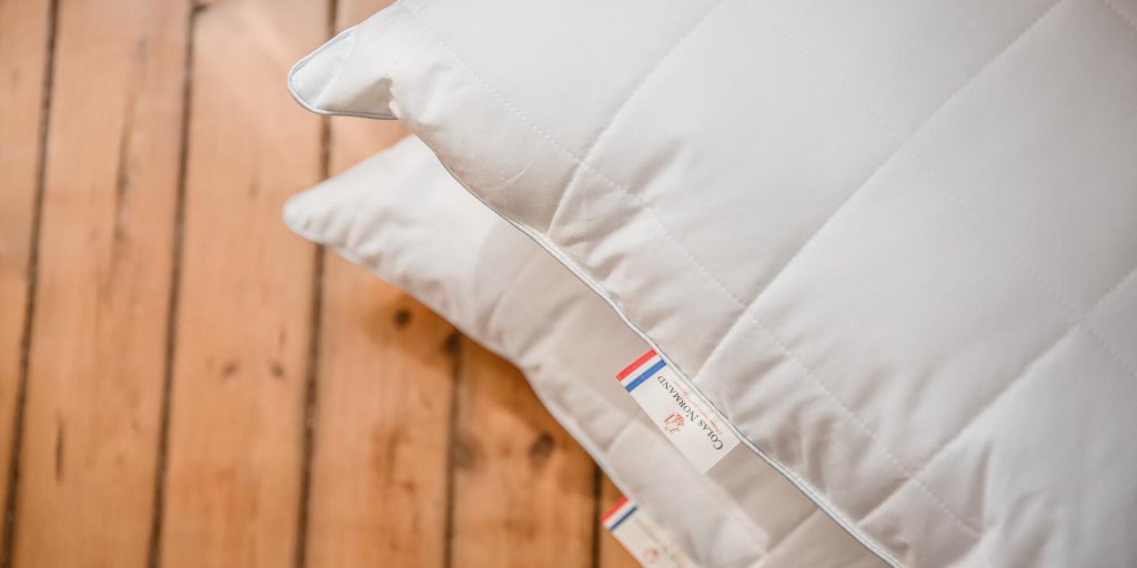 Housse D'Oreiller Anti-Punaises De Lit SAFELIT - Protection Impermeable Anti -Acariens - Entreprise Française (50 X 70 Cm Housse D'Oreiller Anti-Punaises De Lit SAFELIT - Protection Impermeable Anti -Acariens - Entreprise Française (50 X 70 Cm