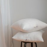 Oreillers Moelleux Éric, lot de 2