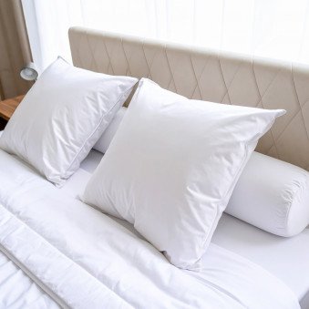 Lot de 2 oreillers moelleux