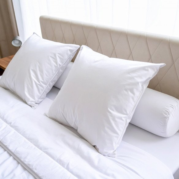 Lot de 2 oreillers moelleux