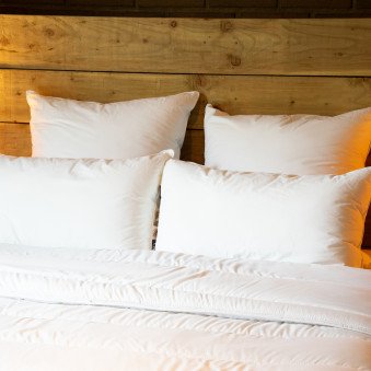 Oreiller extra ferme Gaston