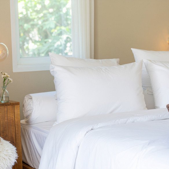 Oreiller Coton Bio | Gérard