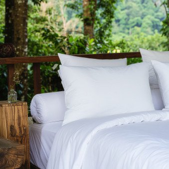 Lot d'oreillers moelleux en coton biologique | Emeric