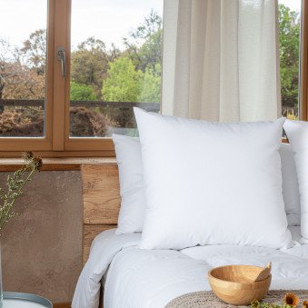 Oreiller ferme anti-acarien et anti punaises de lit | Adrien