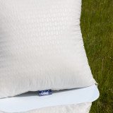 Coussin Franck