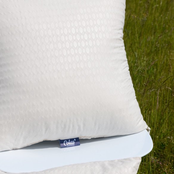 Coussin Franck
