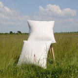 Coussin Franck