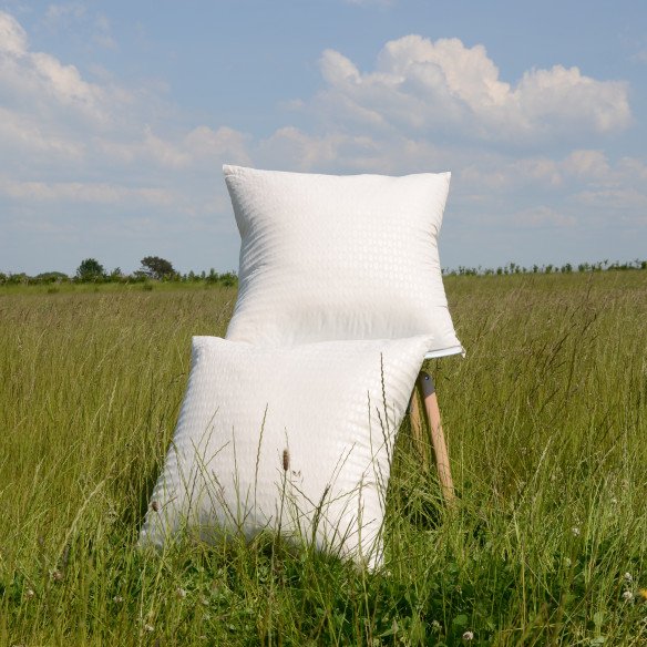 Coussin Franck