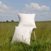 Coussin Franck