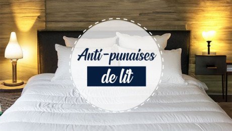 Anti-punaises de lit