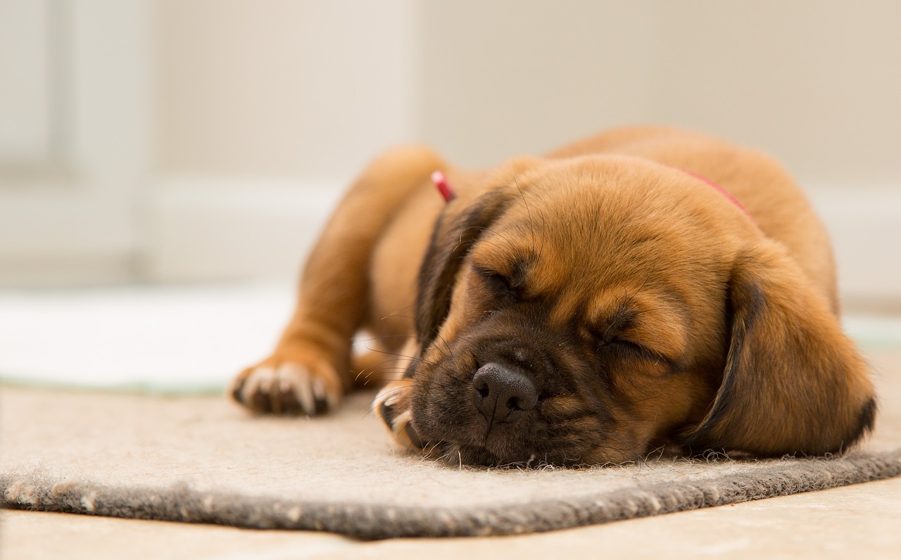 Comment avoir un sommeil plus réparateur ?